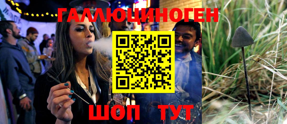 Псилоцибиновые грибы GOLDEN TEACHER Барабинск