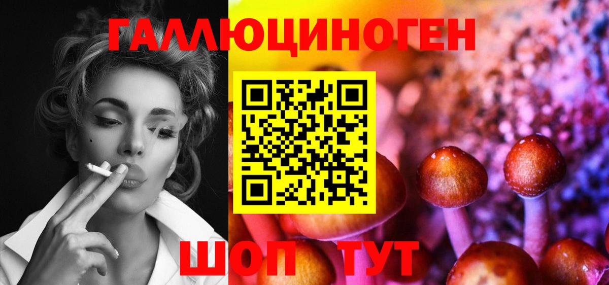 Псилоцибиновые грибы GOLDEN TEACHER  Вход с VPN  Барабинск 